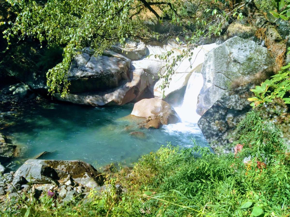 Nature Lover'S Paradise-Tirthan Valley Jibhi Exteriér fotografie